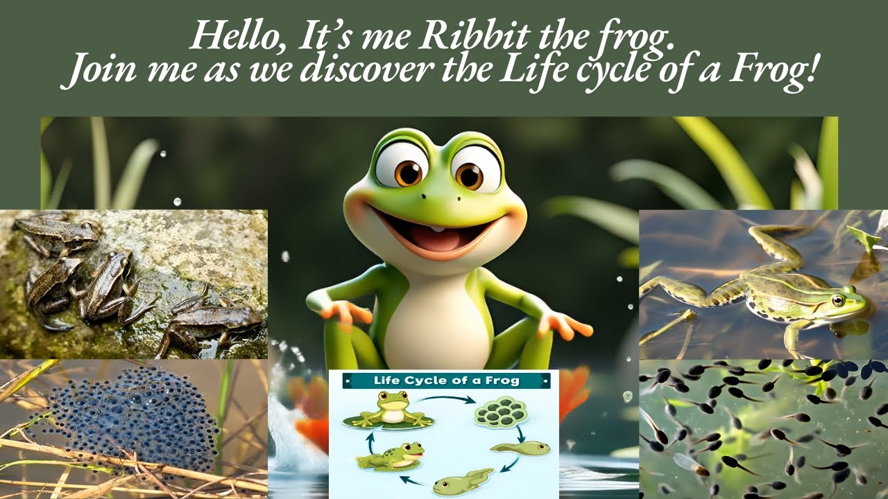 Ribbit the Frog – The Amazing Life Cycle of a Frog! 🌿 | Fun Science for Kids
