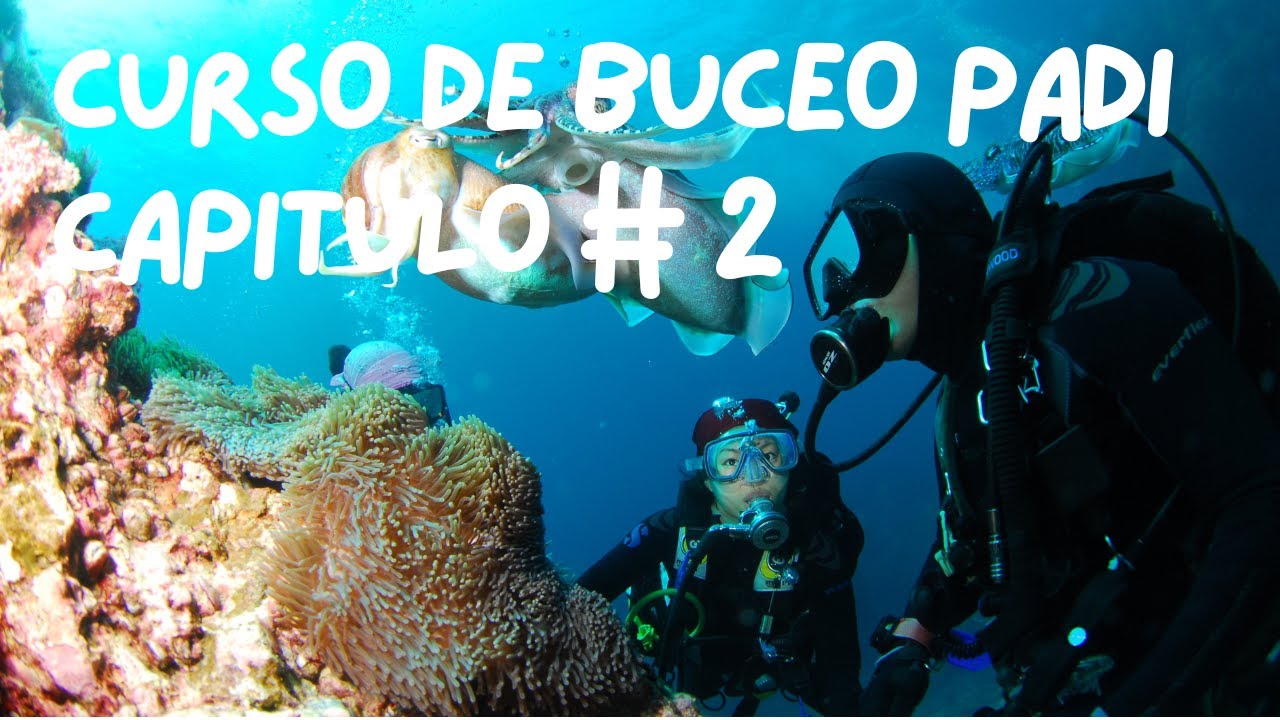 GUIA para aprender a bucear Capitulo 2 | Equipos de buceo