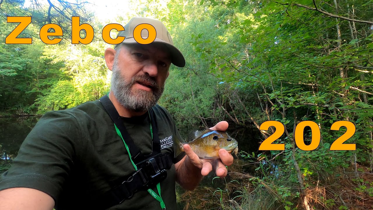 Catching Blue Gill with the Ol' Zebco 202