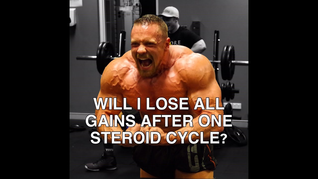 Will I Lose All Gains After One Cycle? | Tiger Fitness