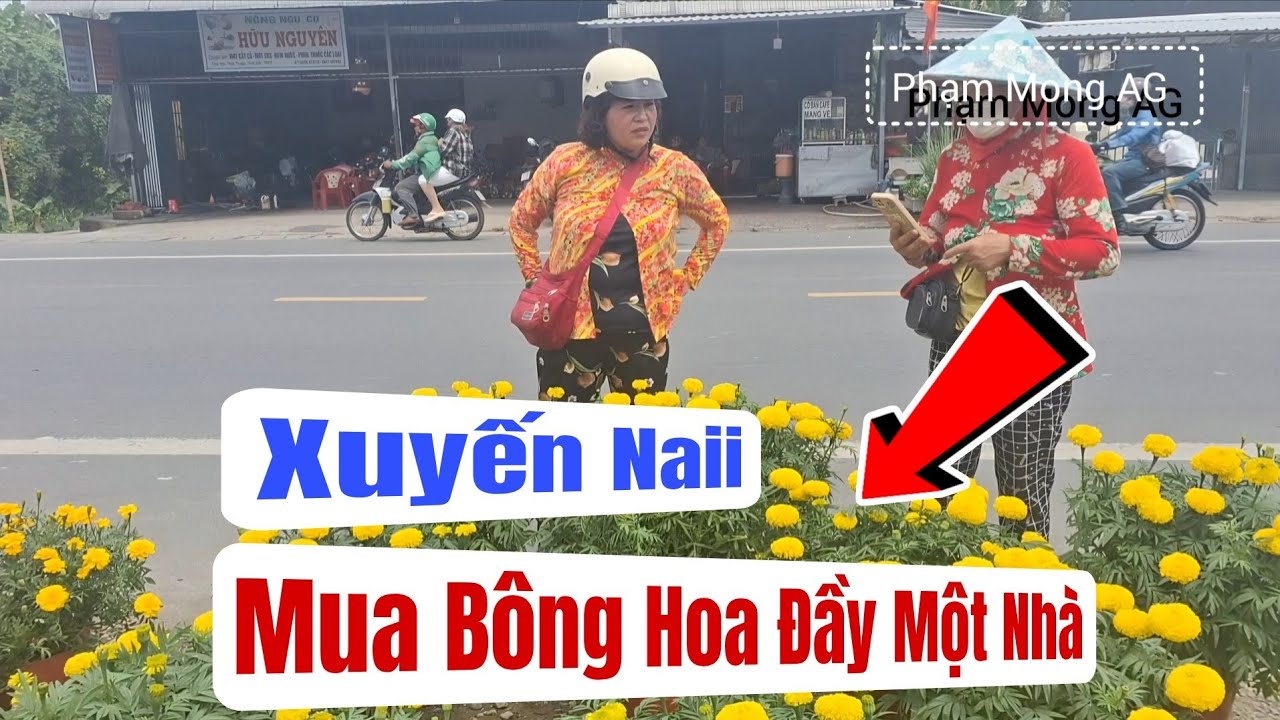 Xuyến Naii nhà bây giờ một vườn Bông Hoa luôn #phạmmongag #xuyennaii #ngoạiLan 