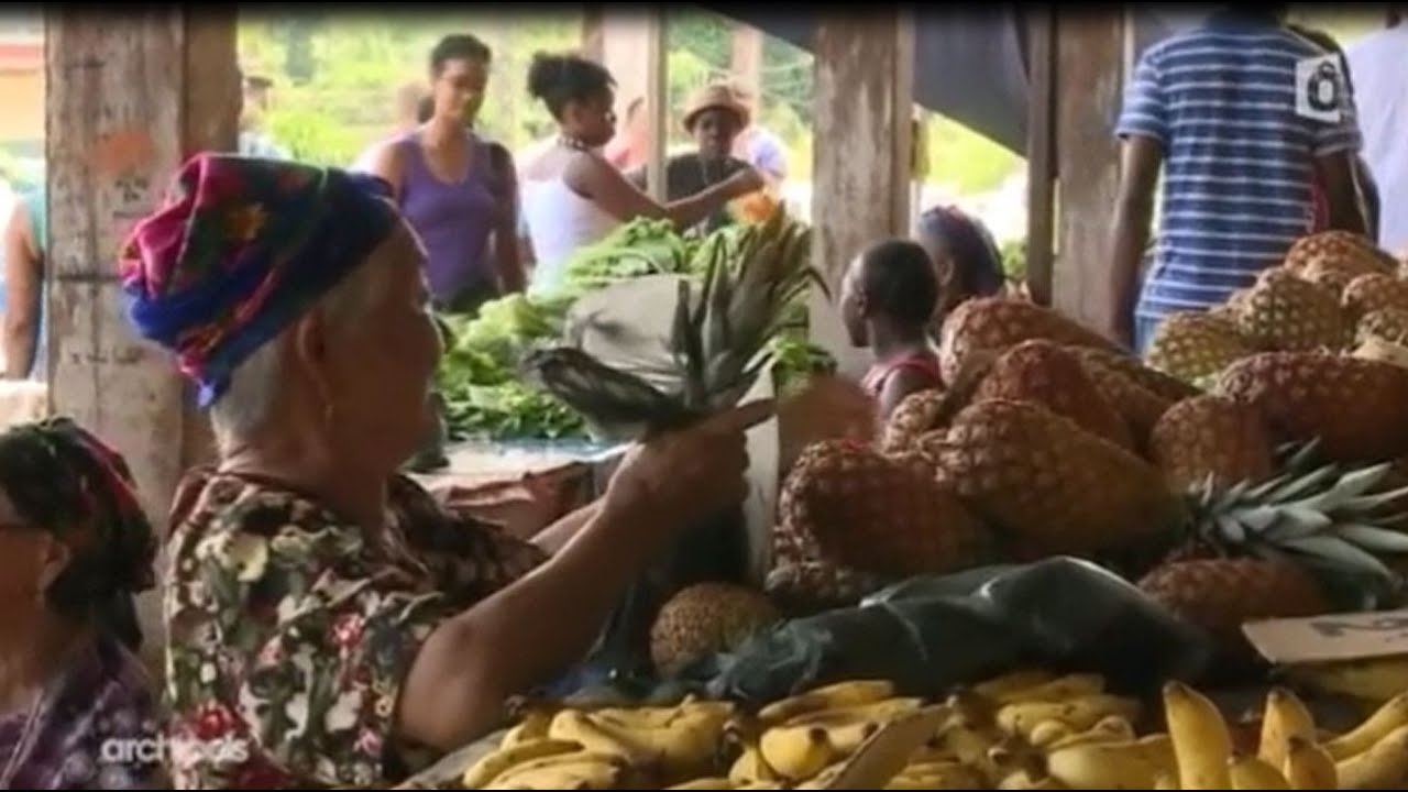Peuple Hmong a Cacao, le dragon de Guyane. Archipels.