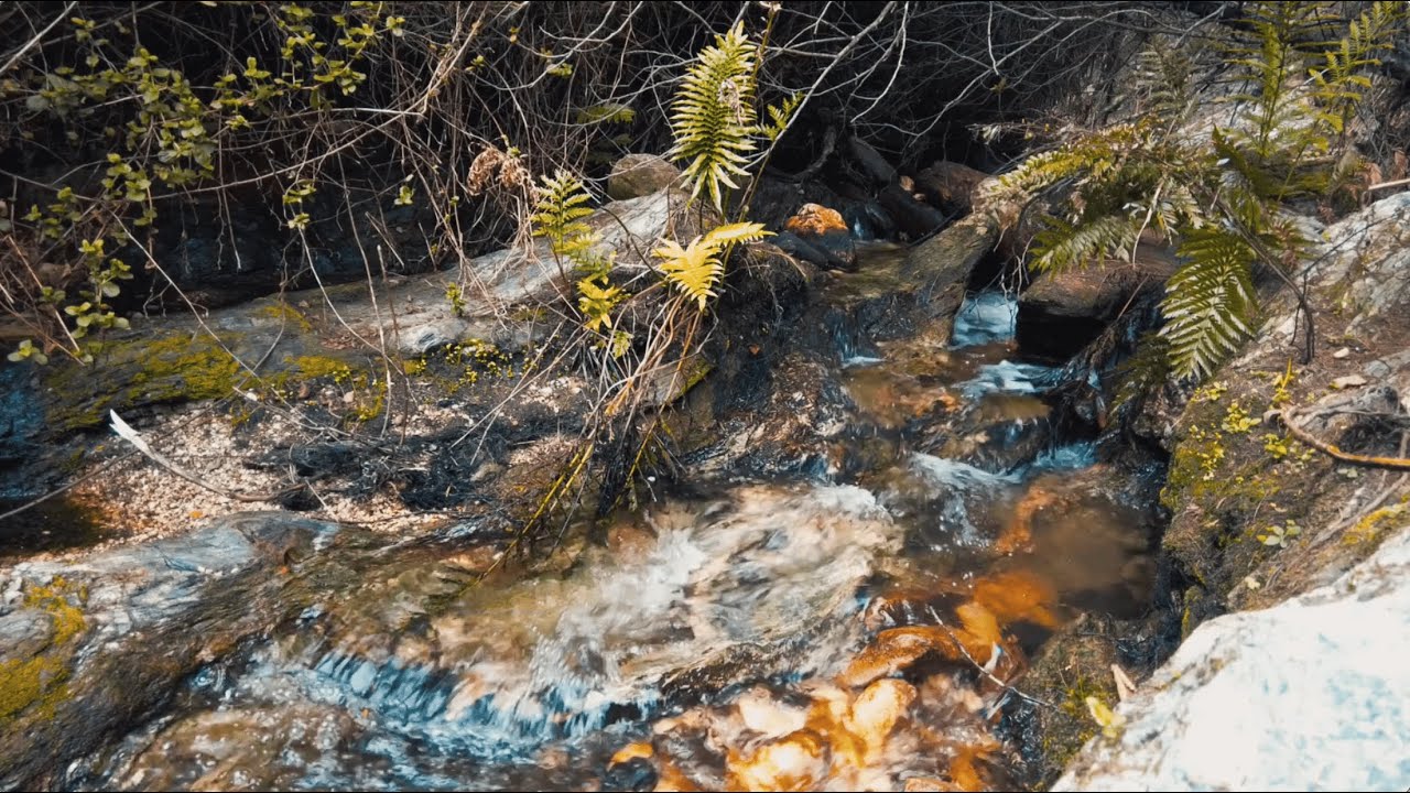 10 Hours | Gentle Mountain Stream Gurgling | Relax, Sleep, Meditate