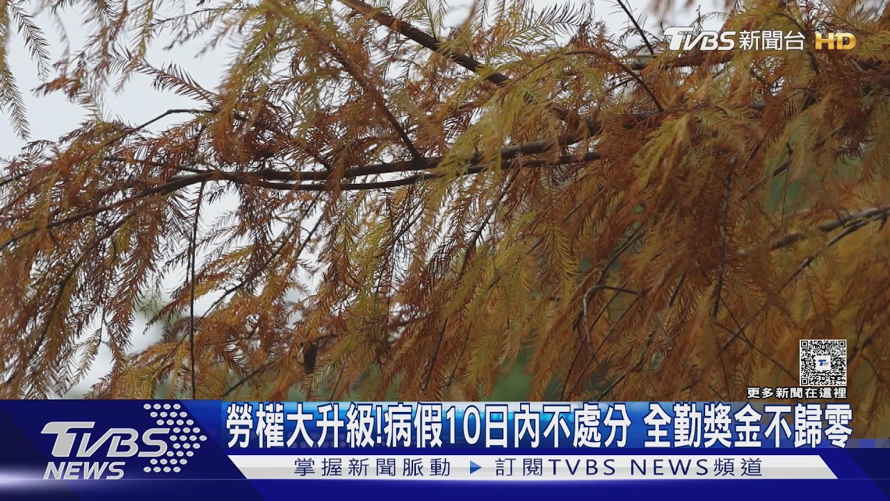 勞權大升級!病假10日內不處分 全勤獎金不歸零｜十點不一樣20260207 @TVBSNEWS02