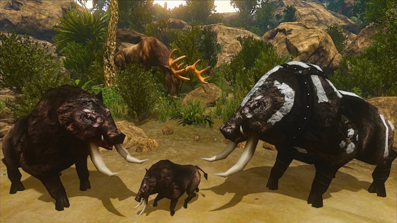 Boar King Life Simulator