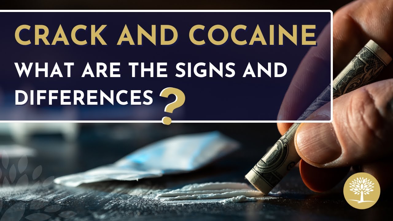 What's the Difference Between Crack and Cocaine? #DrugAddiction #SubstanceUseDisorder