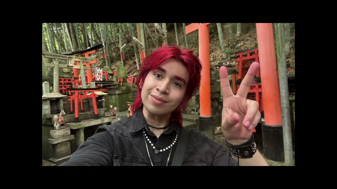2 weeks alone in Japan