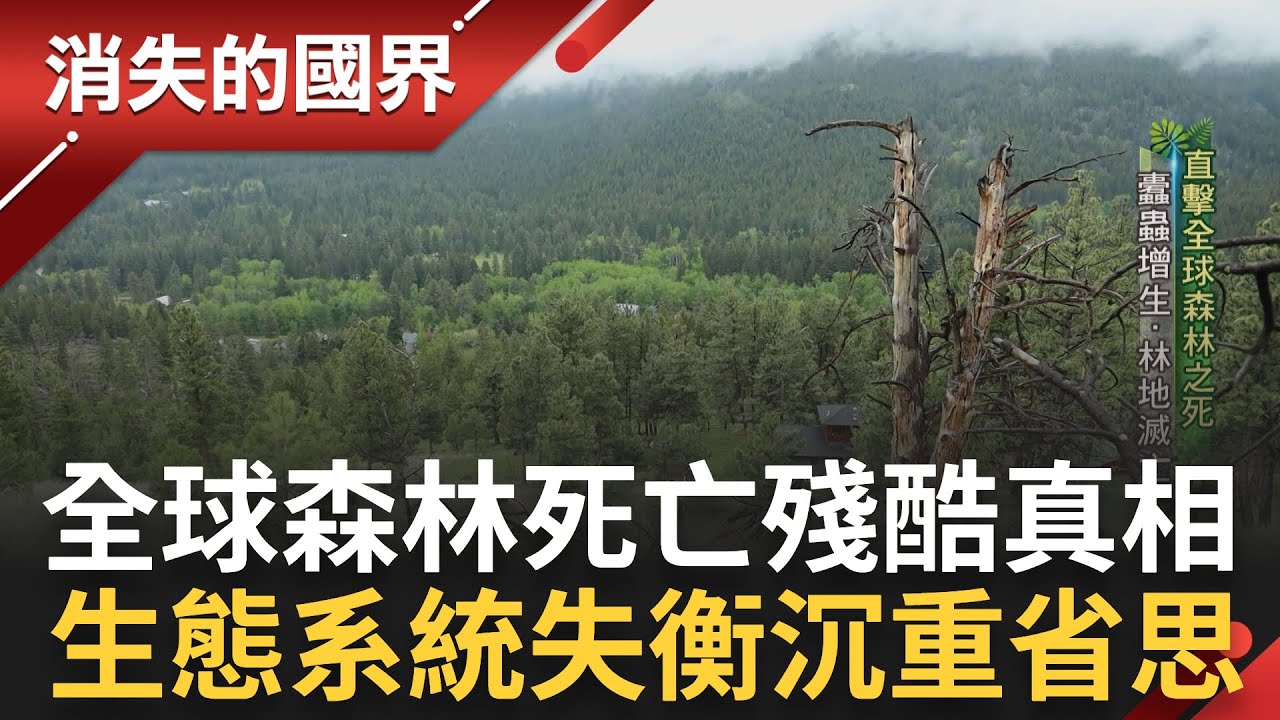 直擊全球森林之死! 溫室現象加劇