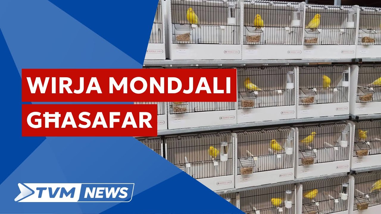 Rekord ta' medalji għal Malta fl-akbar wirja mondjali tal-għasafar li saret il-Belġju