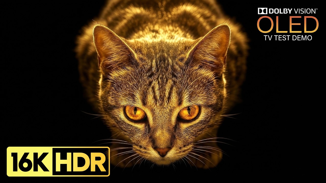 BEAUTIFUL OLED TEST DEMO | 16K HDR 120 fps Dolby Vision (4K/8K TV)