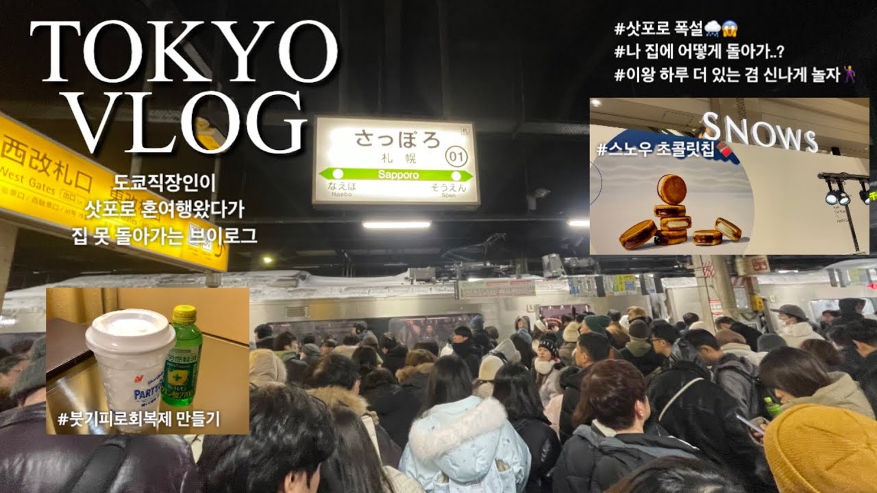 Tokyo Vlog | 나홀로 삿포로 여행❄️ | 카페랑방 | 삿포로 폭설 | 스노우 생초콜릿🍫 | 삿포로 파르페 | 현지인 스프카레 맛집 | 드럭스토어&편의점 추천템 |