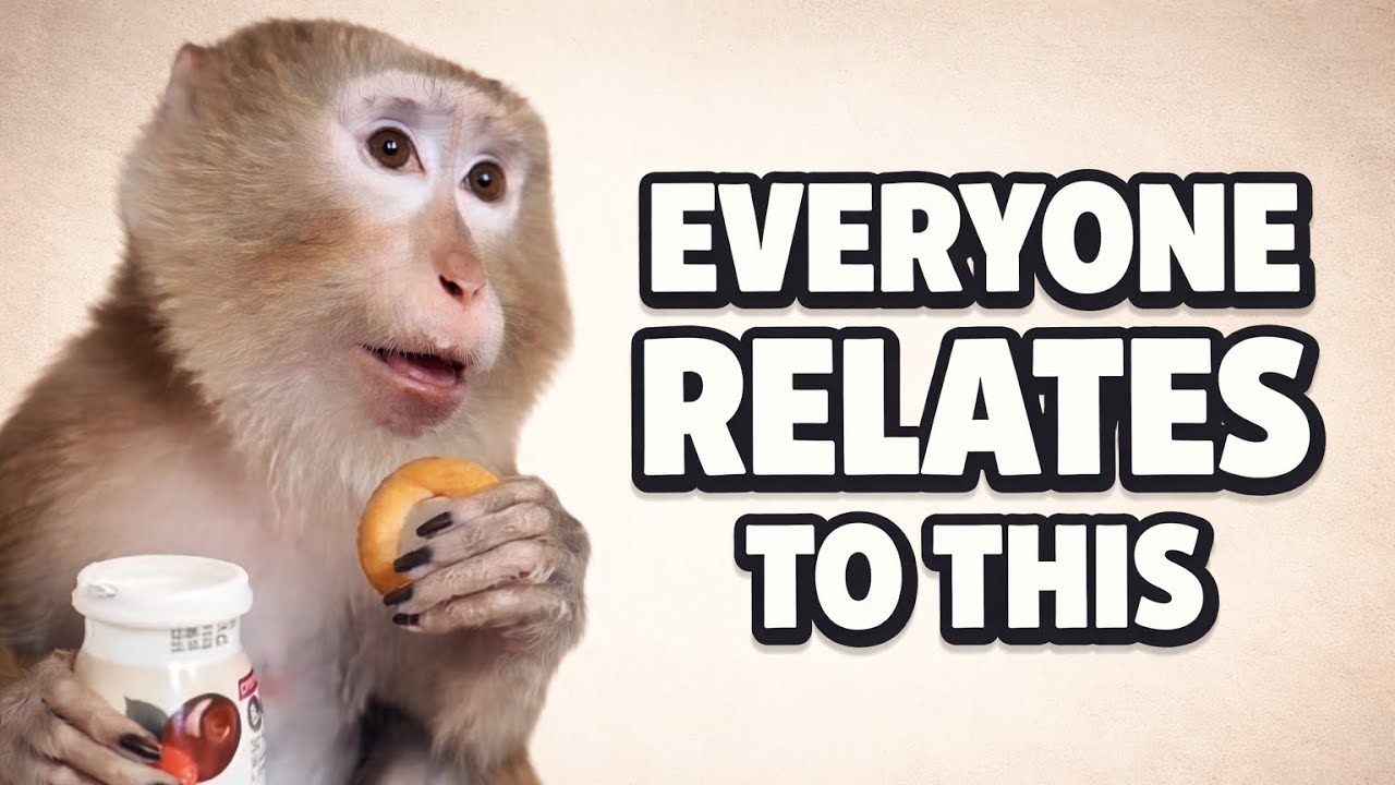 EVERYONE Relates to This 😂 | 2025 Meme Compilation