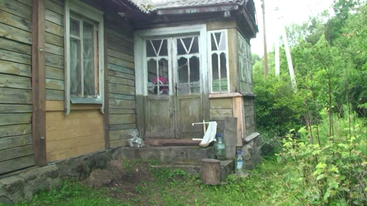 Kazulenu gimines susitikimas 2011-07-16