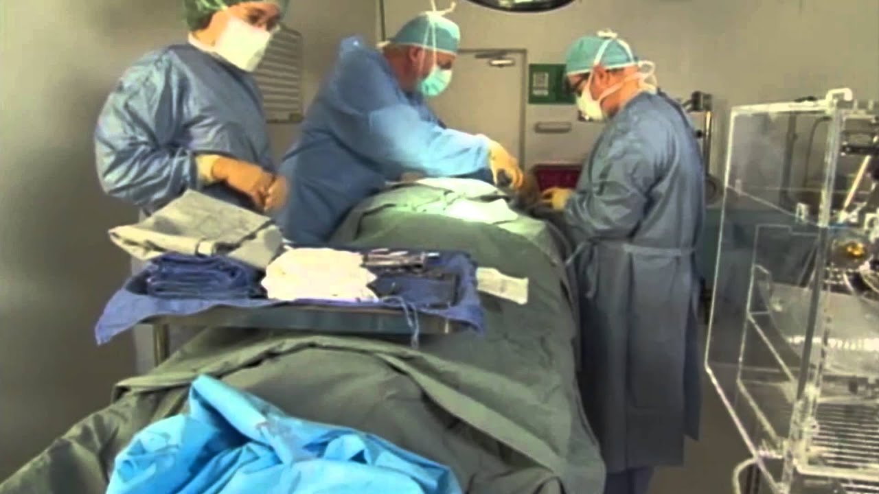 Cryonics: Alcor FAQ # 4: Cryonics Is An Extension Of Emergency Medicine