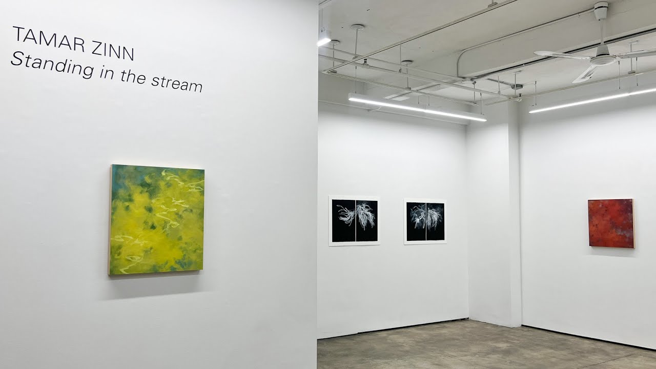 Abstract Paintings & Drawings by Tamar Zinn