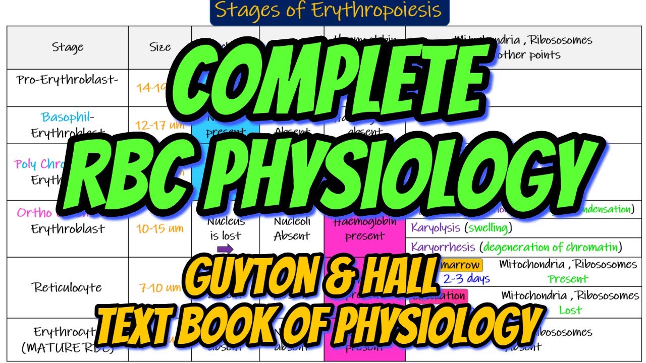 Complete Red Blood Cell Physiology from Guyton and Hall text book of Physiology. RBC Physiology.