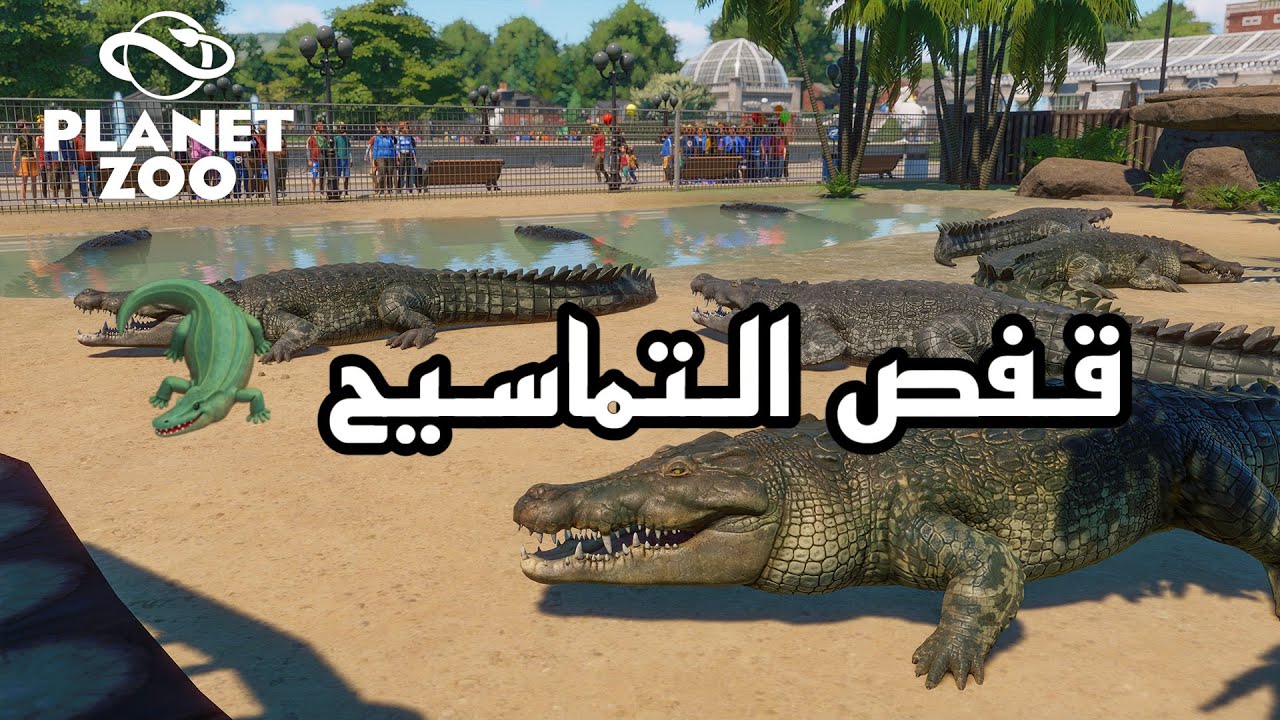 Planet Zoo #12🤩🐊 تمثال التمساح