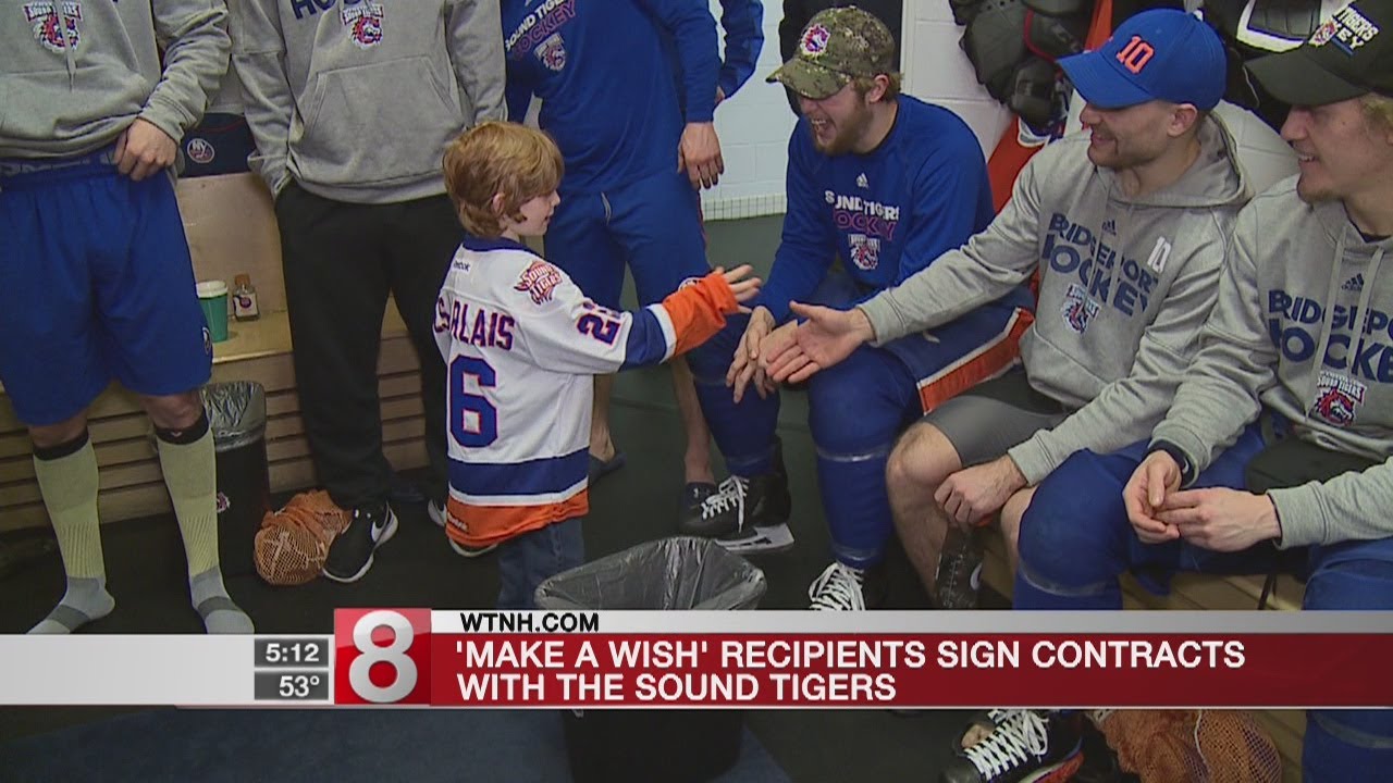 Sound Tigers add special players to roster