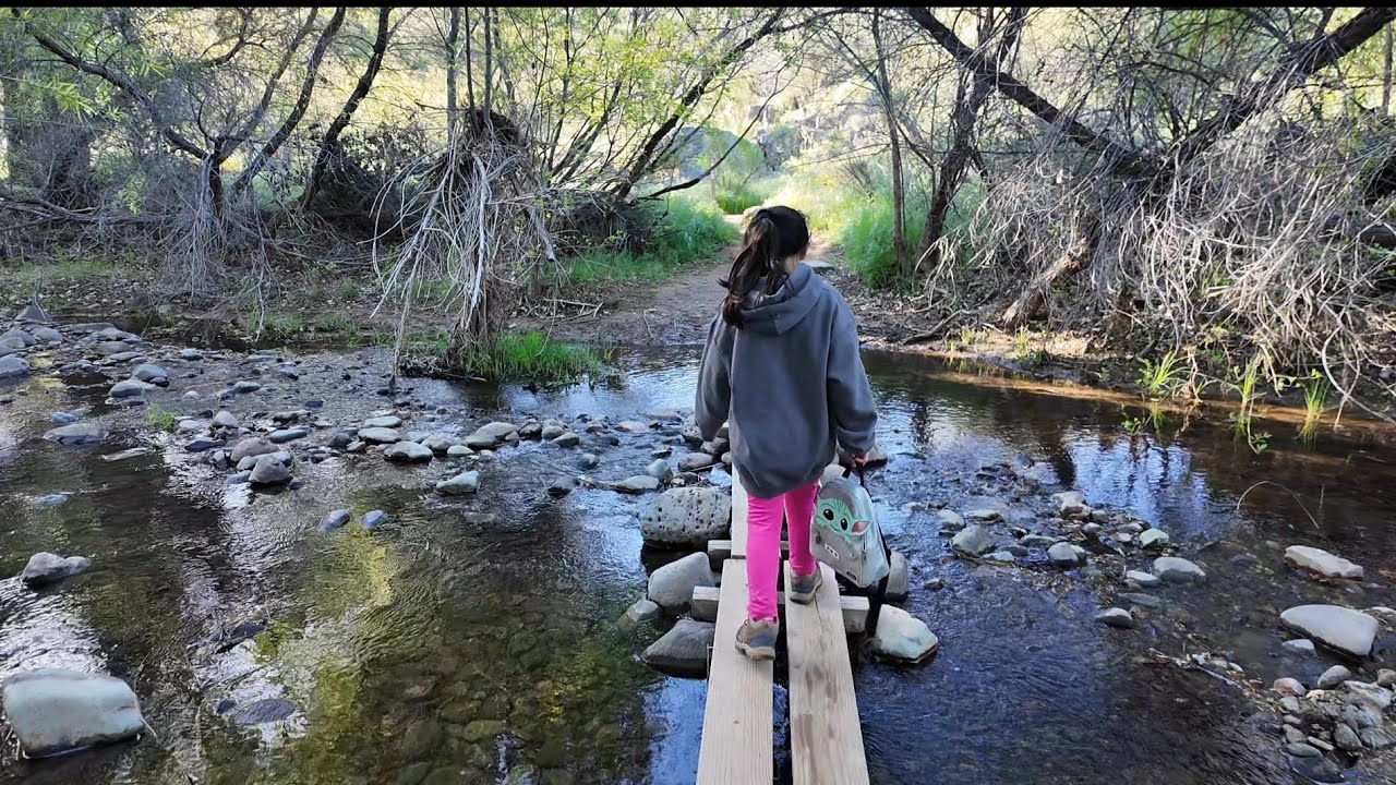 Dragonfly trail in cave creek Arizona