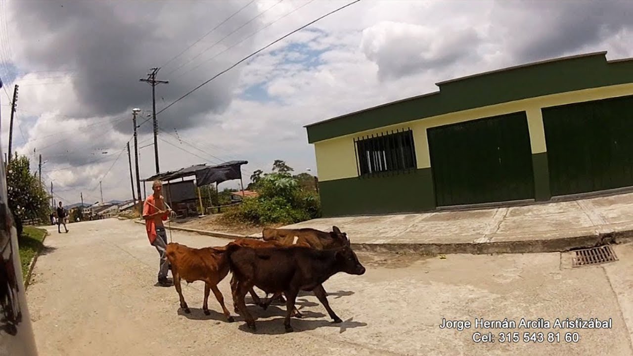 BARRIO Gonzalez QUIMBAYA Quindio