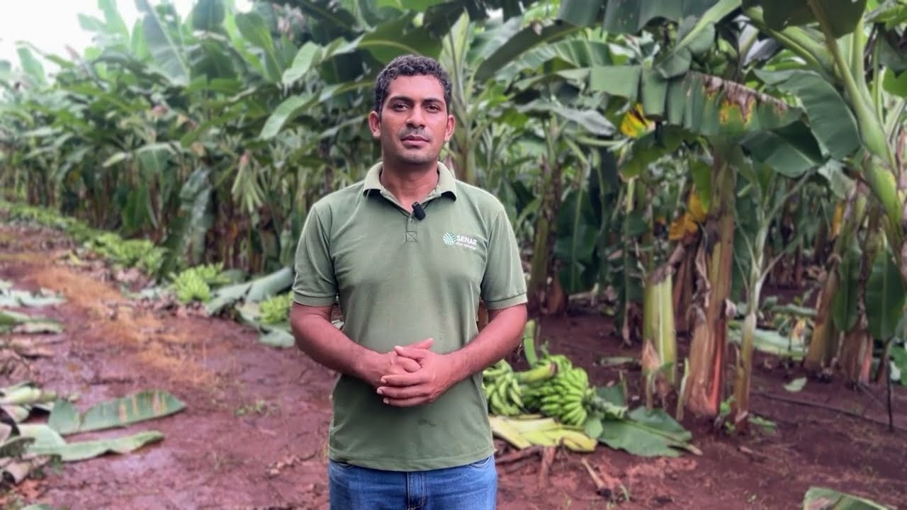 EM SÃO JOÃO DO PARAÍSO, O TRABALHO DO SENAR TEM MUDADO A REALIDADE DE UM PRODUTOR DE BANANA