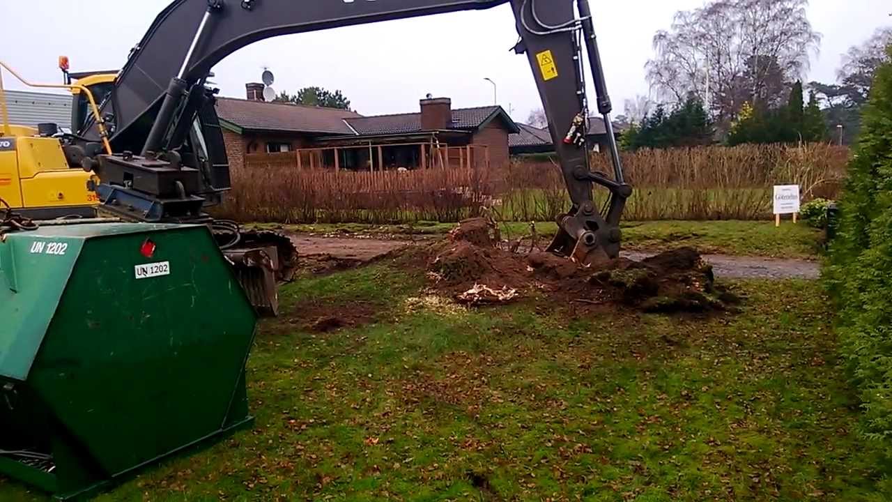 Volvo 27 tonnare, gräver upp en stor björkstubbe på flera ton.