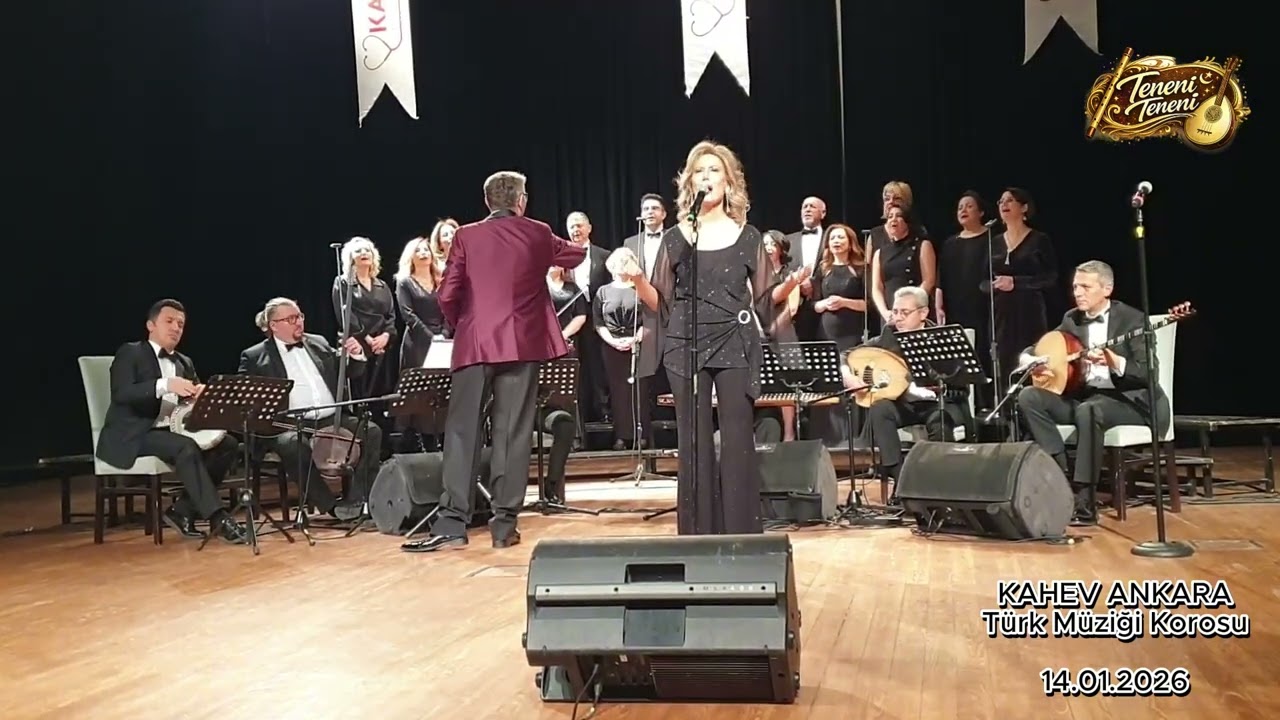 Hülya Ceylan Kahraman - Kalbe Dolan O İlk Bakış - 6878