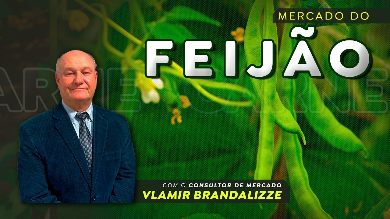 Alta do feijão deve seguir; saca do carioca nobre já se aproxima dos R$330.