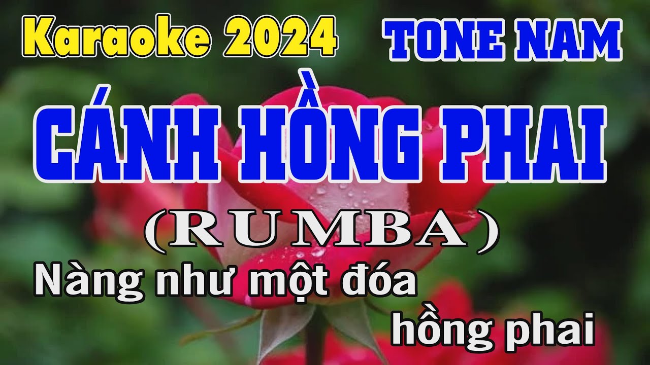 C&aacute;nh Hồng Phai Rumba Karaoke Tone Nam  | Trần L&acirc;m