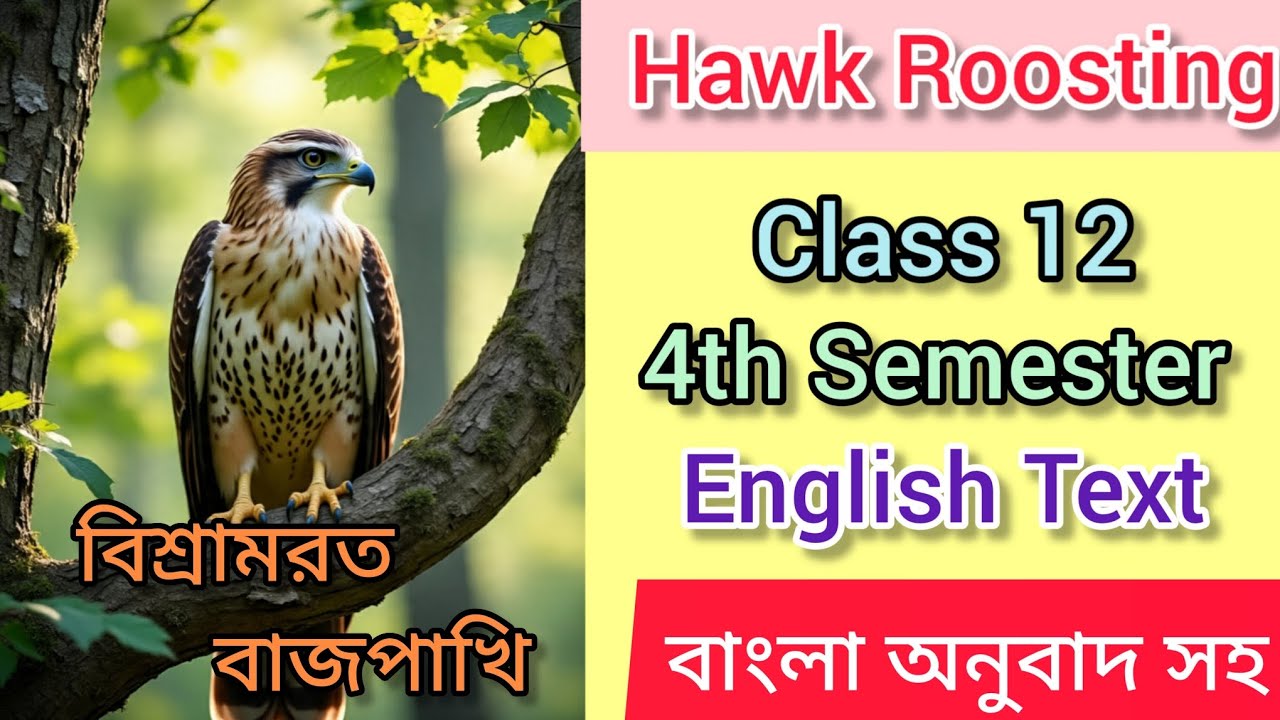 Hawk Roosting by Ted Huges class 12 4th English text semester bengali meaning with explaination. 