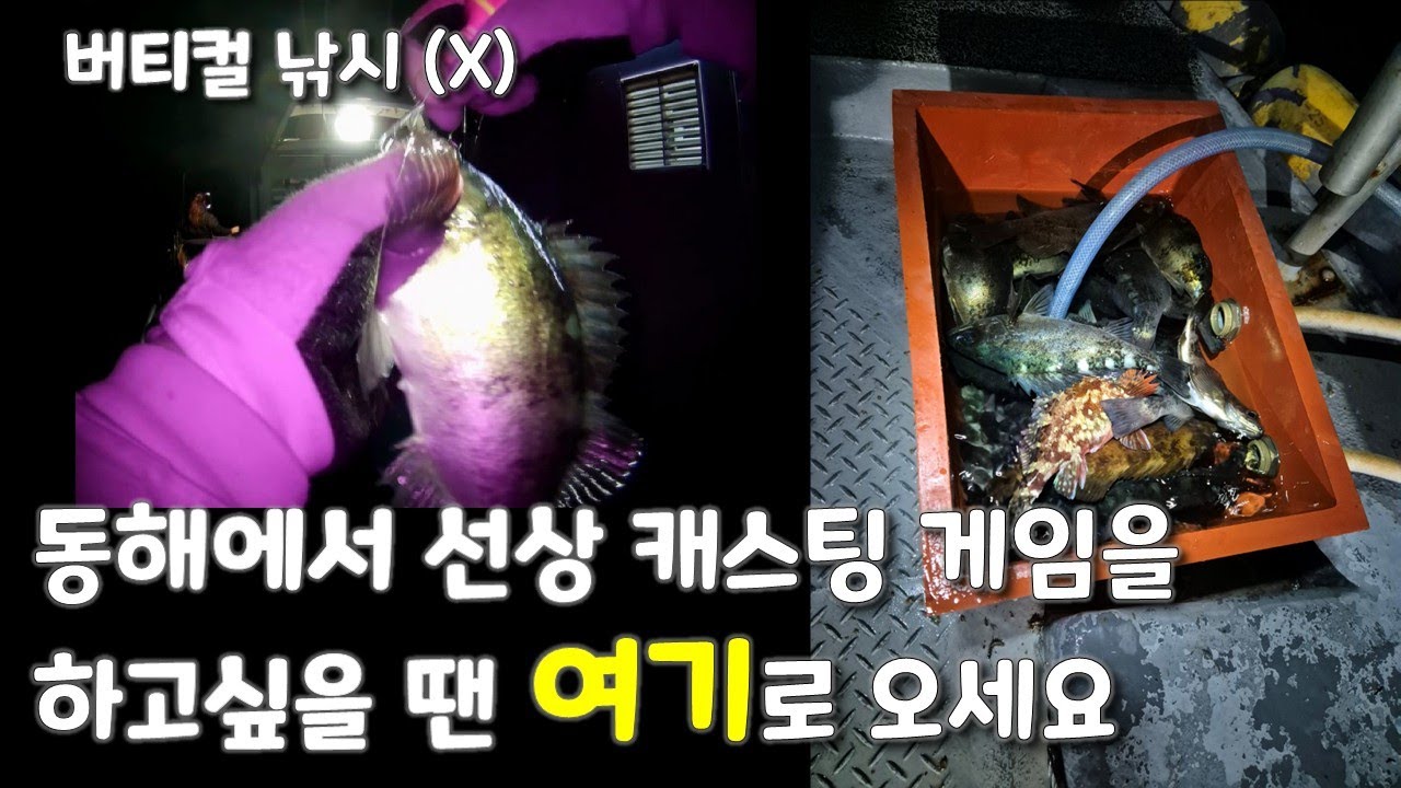 동해 볼락 선상 캐스팅게임은 정말 재미있습니다!