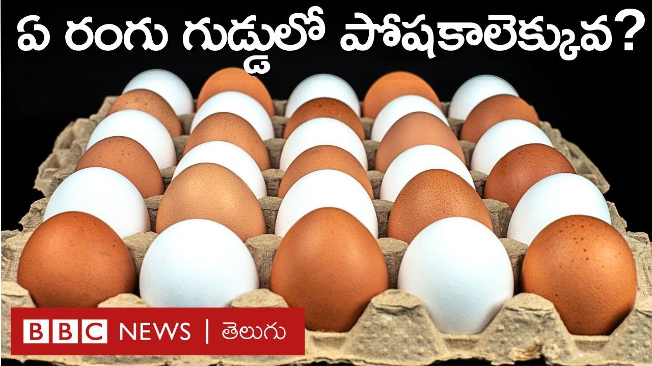 Egg Colour: ఖరీదెక్కువ కాబట్టి ఎర్ర గుడ్లలో పోషకాలెక్కువగా ఉంటాయని చాలామంది అనుకుంటారు. | BBC Telugu