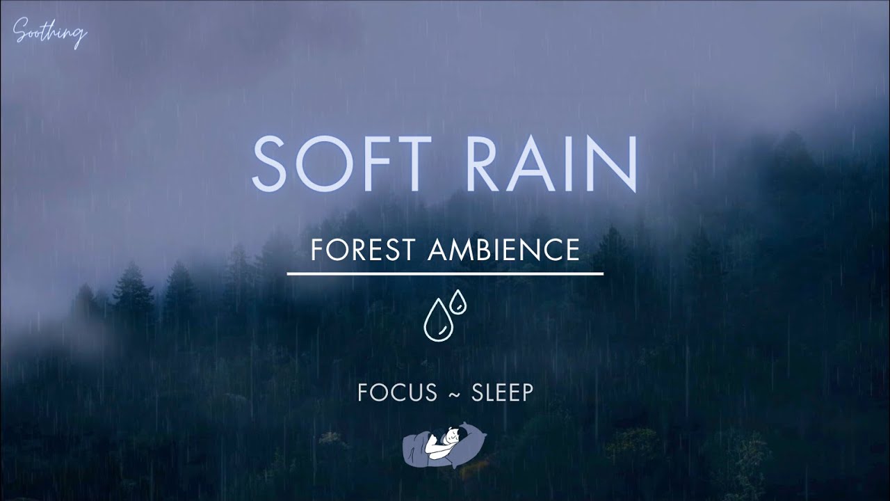 Soft Rain In Forest | NO ADS | Soothing Gentle Rain Sounds For Sleeping🌧