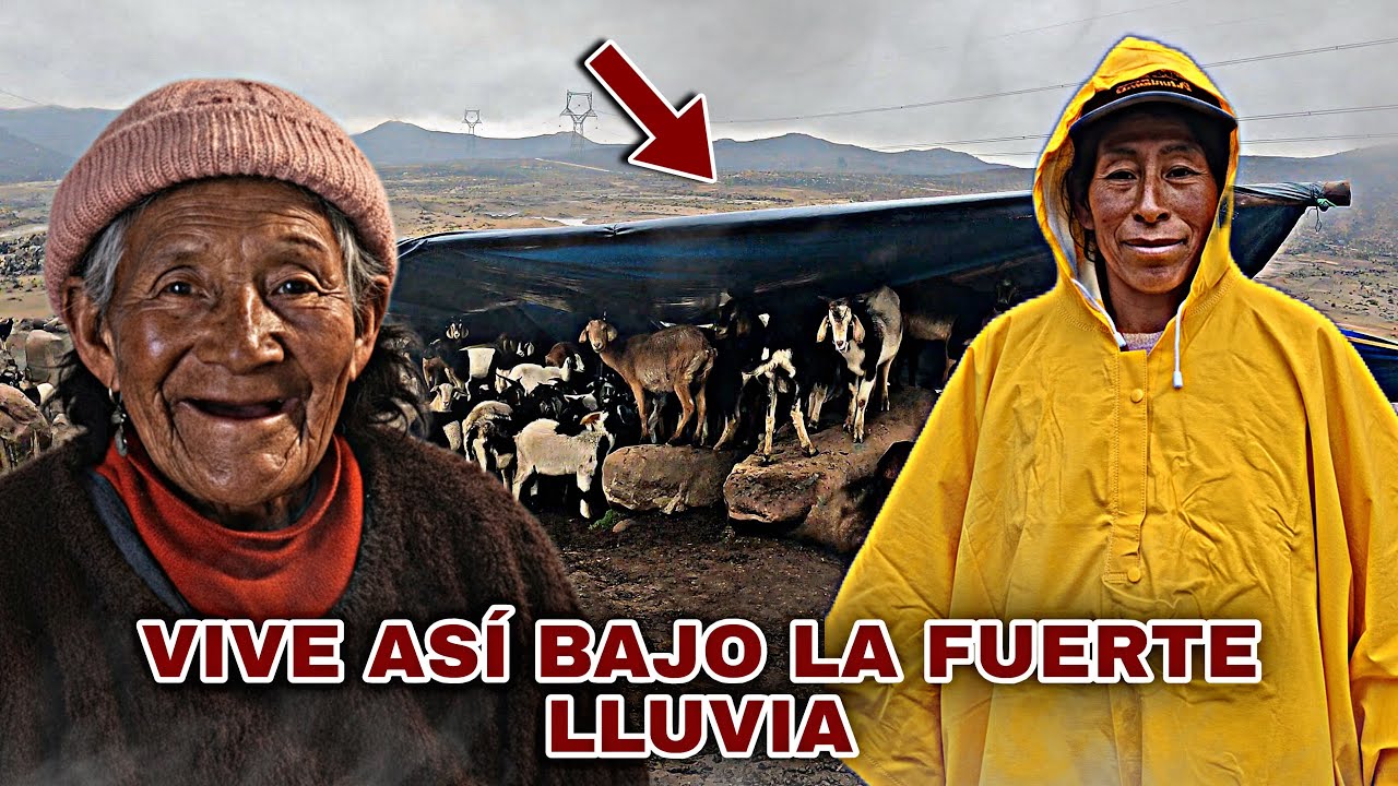 ¡EMERGENCIA por la LLUVIA! Construimos una CARPA NUEVA para salvar a los CHIVOS enfermos