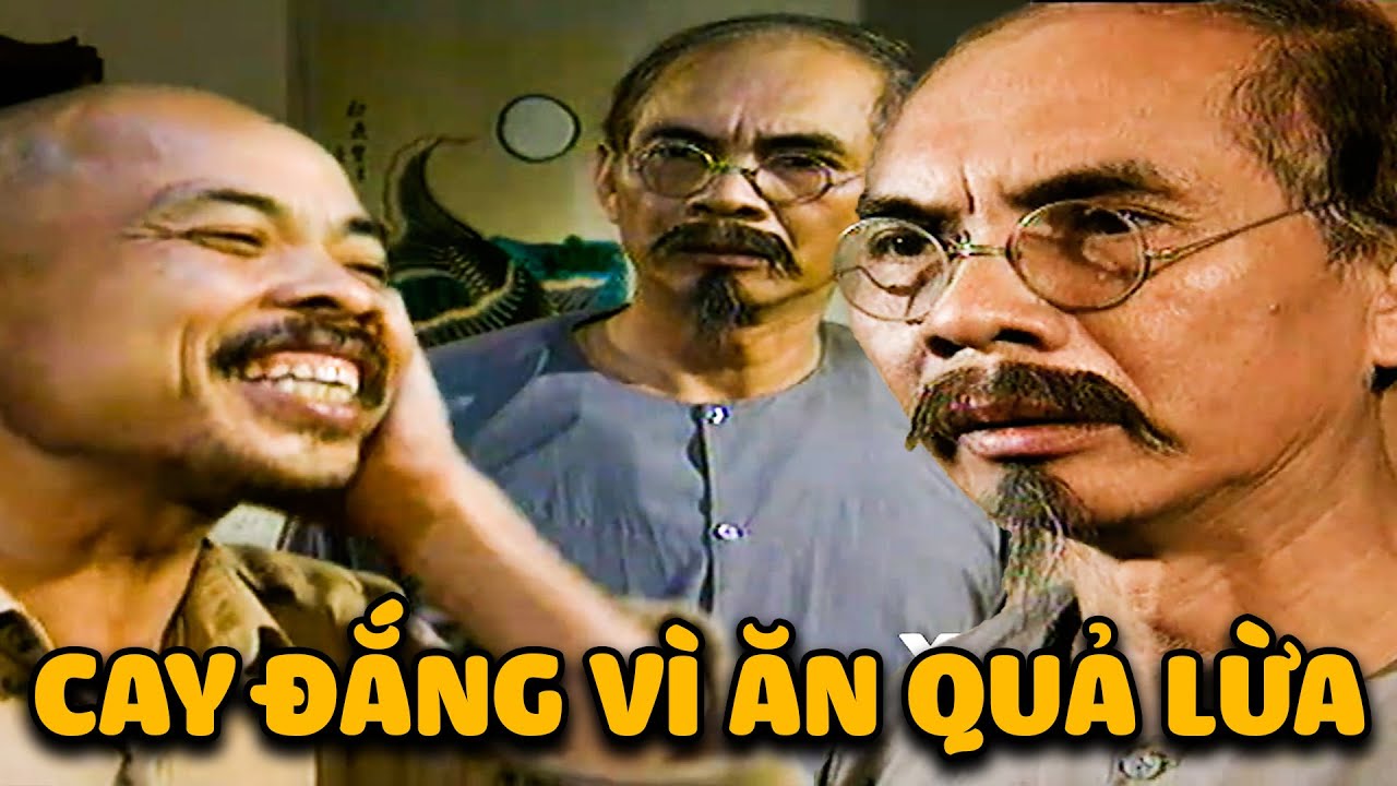 Người THẬN TRỌNG như LÃO HÀM mà vẫn NGU NGƠ bị CHU VĂN QUỀNH cho ăn QUẢ LỪA CAY ĐẮNG | Đất và Người