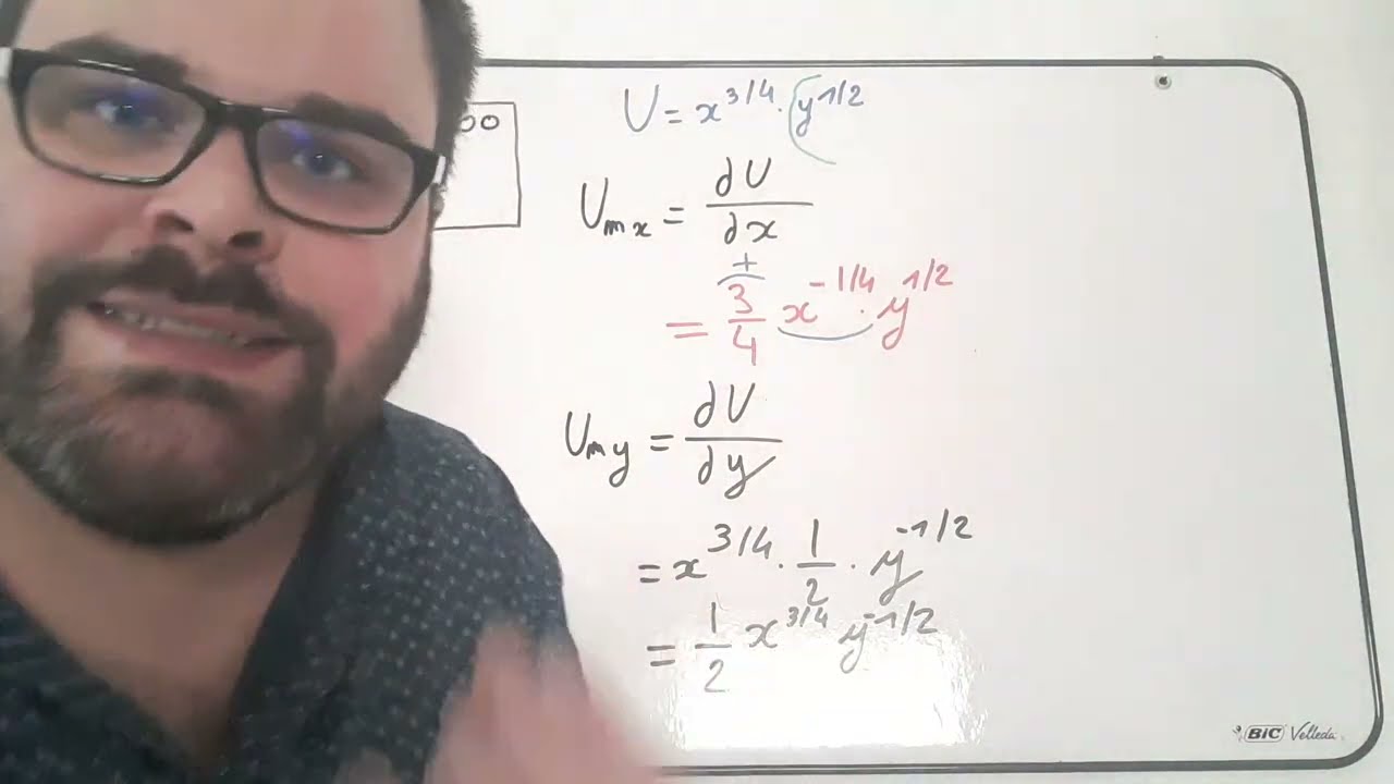 Exercice - Théorie du consommateur - Programme d'optimisation