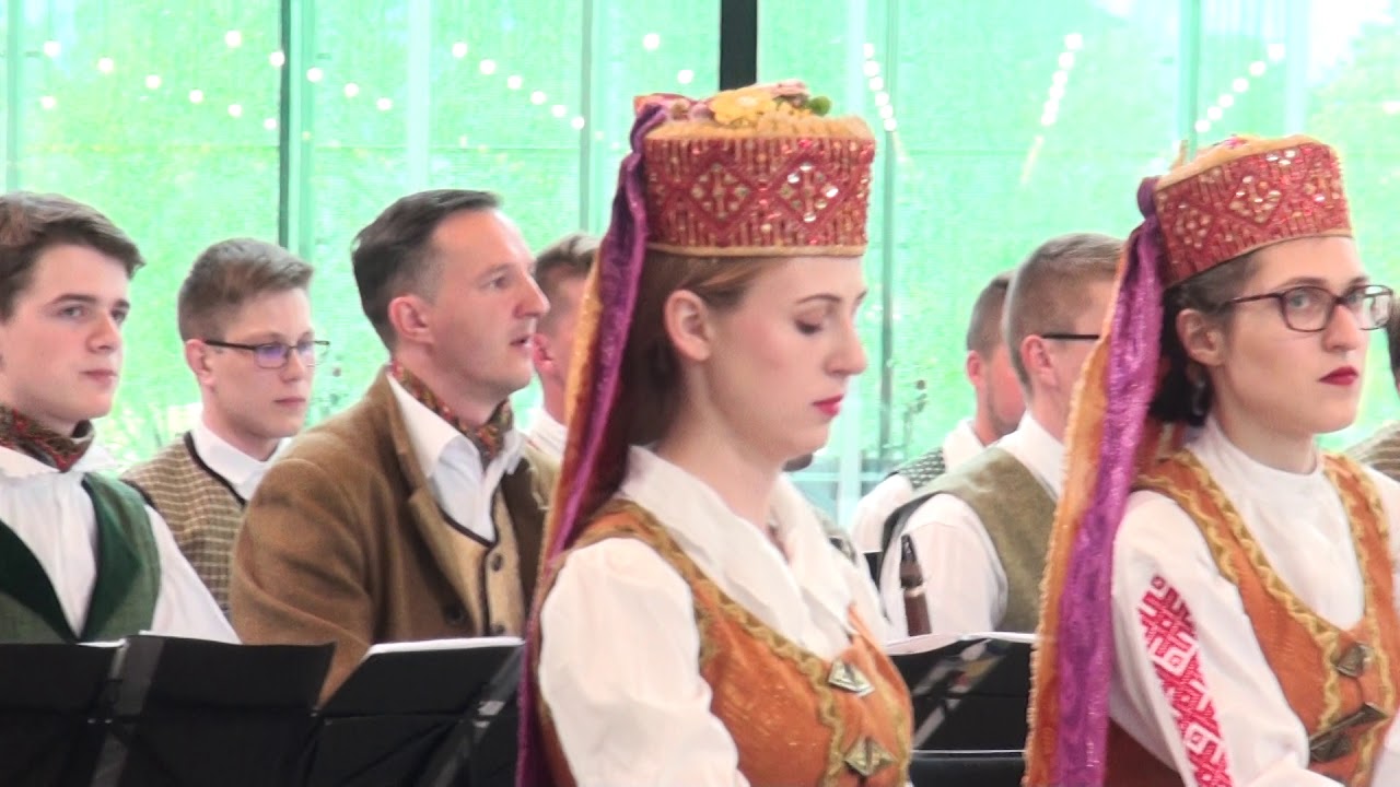 00301 &ldquo;Gaudeamus 2018&rdquo; . Special concert by Lithuanian folk musicians Fragment.