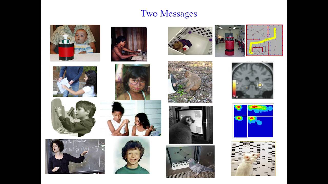 Elizabeth Spelke:  Core knowledge and the development of human belief systems