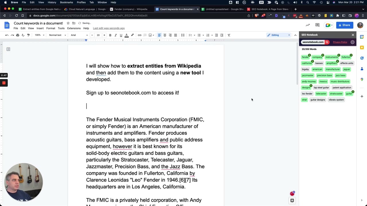 Extract Entities From Wikipedia + The SEO Notebook Addon for Google Docs!