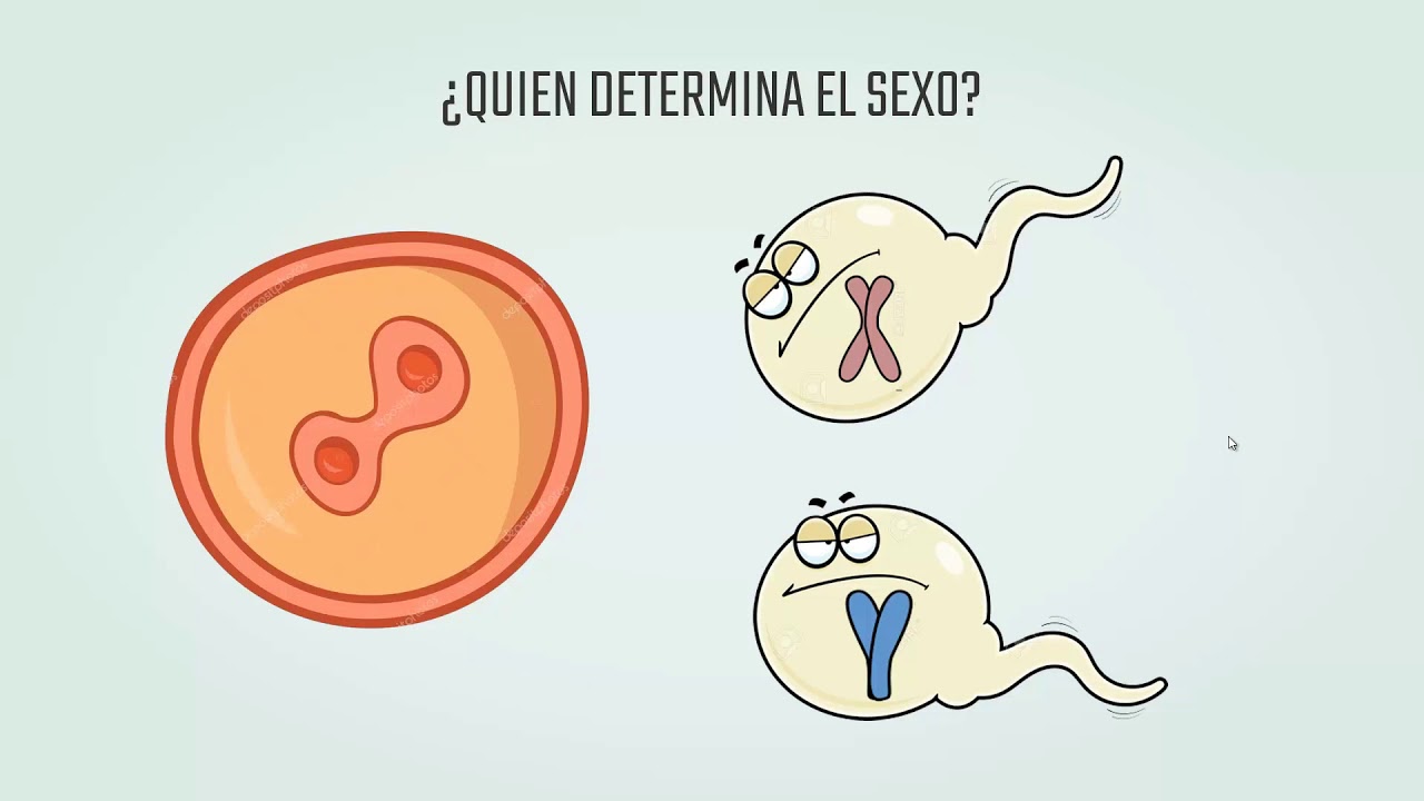 HERENCIA LIGADA AL SEXO