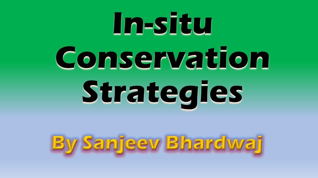 In-Situ Conservation Strategies l National Park l Wildlife sanctuaries l Biosphere Reserve lEduFacts