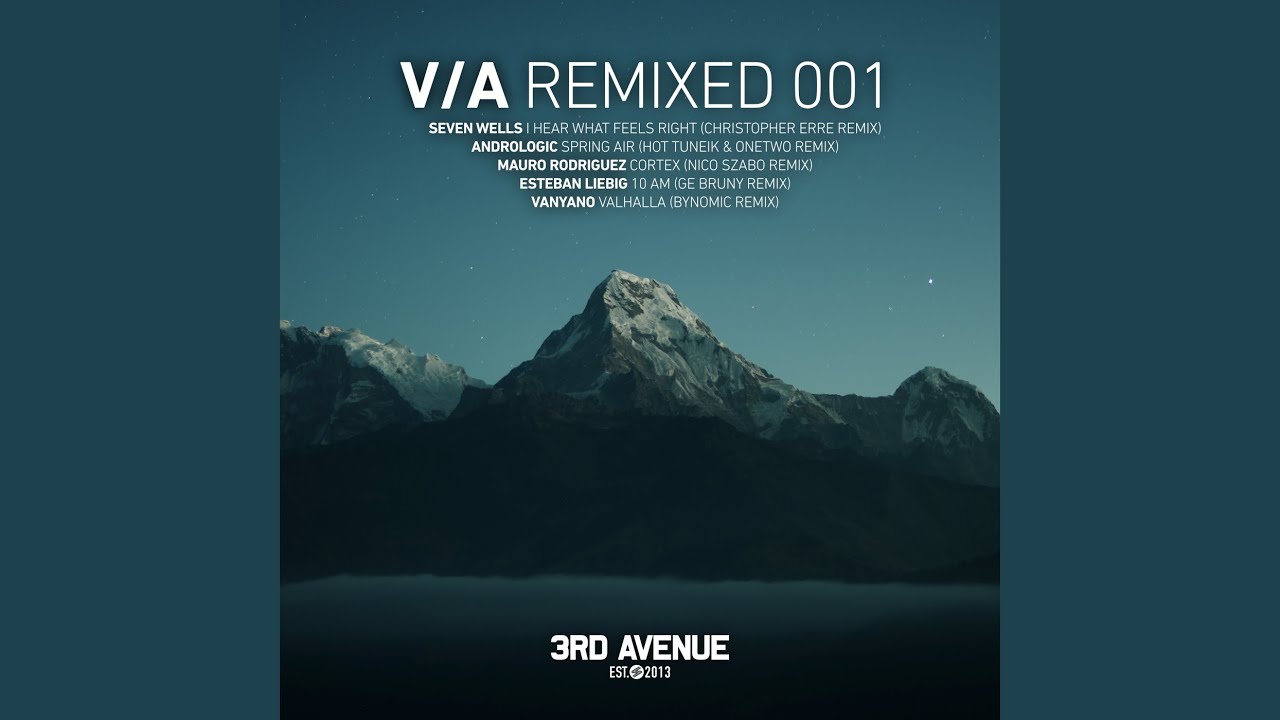 Cortex (Nico Szabo Remix)