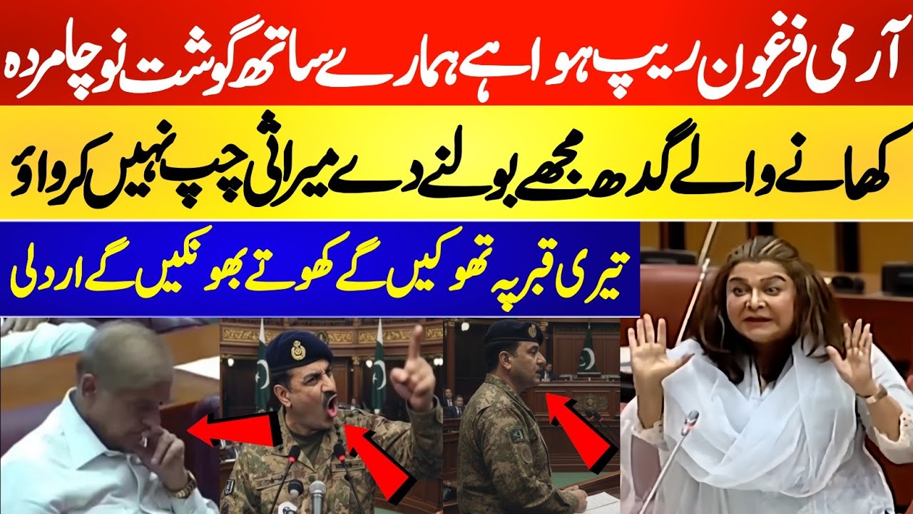 PTI Senator Zarqa Suharwardy Blasting Speech in National Assembly Today | Aemy Chief 