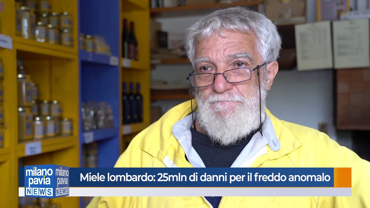 Luca Bonizzoni - Presidente di Apilombardia - mancata produzione miele di acacia 2019