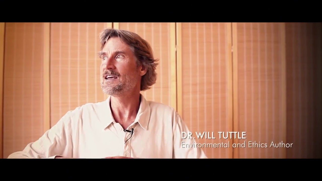 y2mate com   COWSPIRACY The Sustainability Secret in about 15 minutes Short Version 1080p online vid