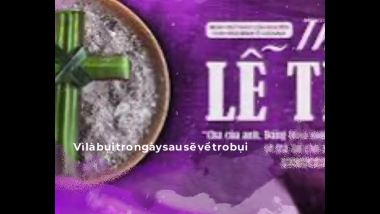 Bụi Tro - songca