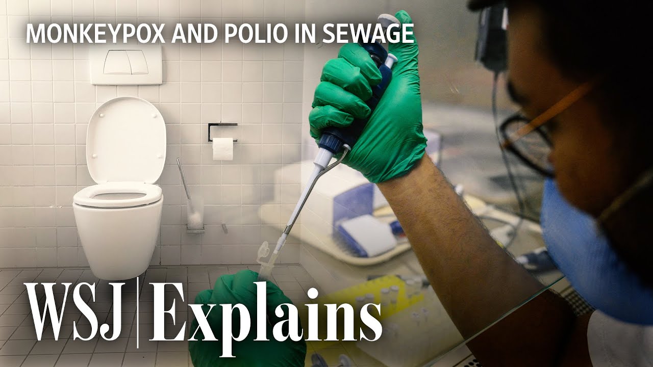 How Experts Find Monkeypox, Polio in Sewage | WSJ