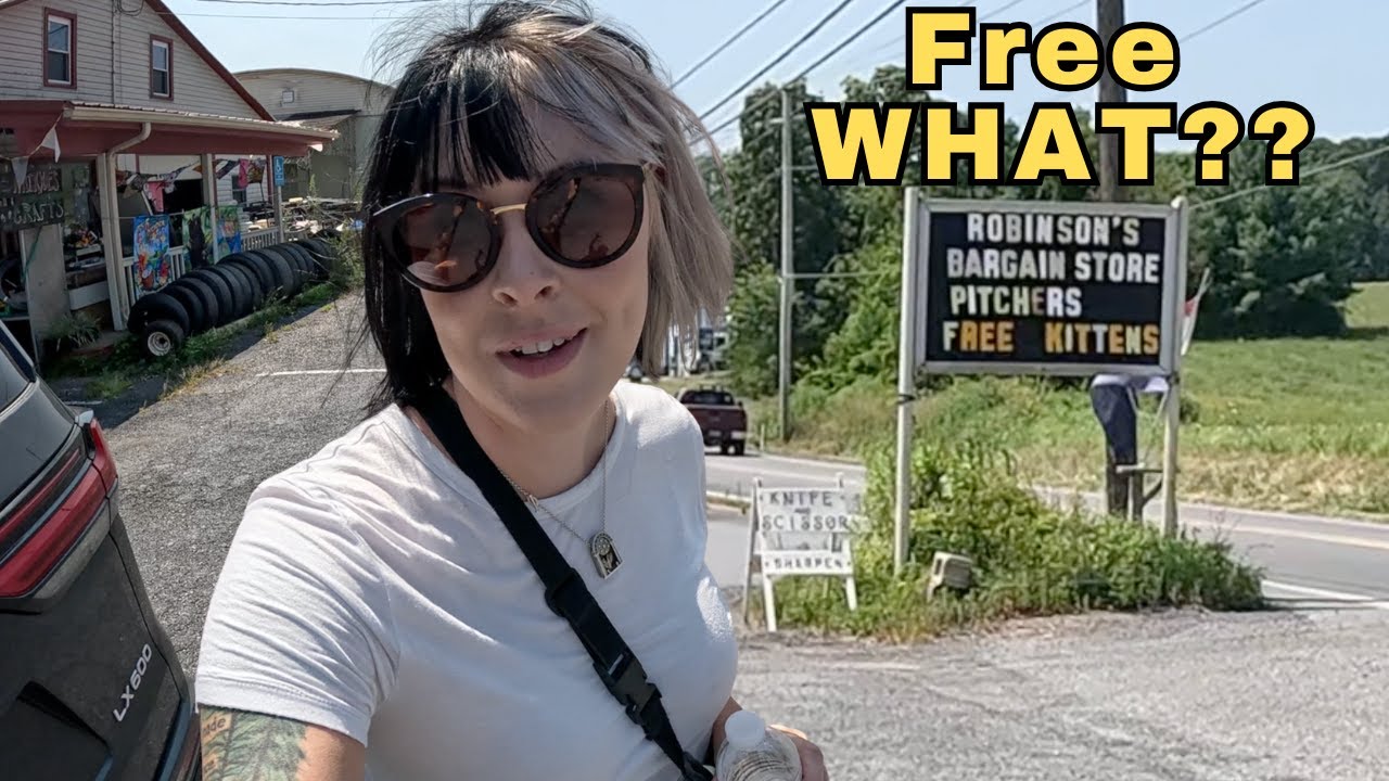 Stopped For Free Kittens but Left With Treasures for Resale