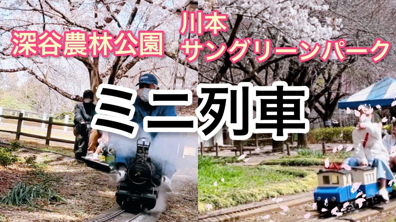 桜がキレイ！【深谷農林公園】【川本サングリンパーク】ミニ列車