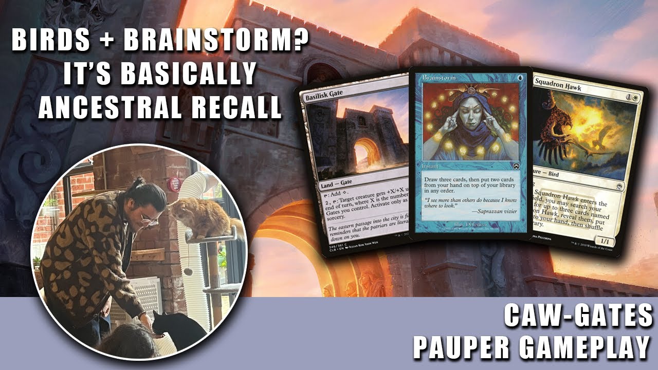 Birds + Brainstorm = ANCESTRAL RECALL? | Caw-Gates | Pauper Gameplay